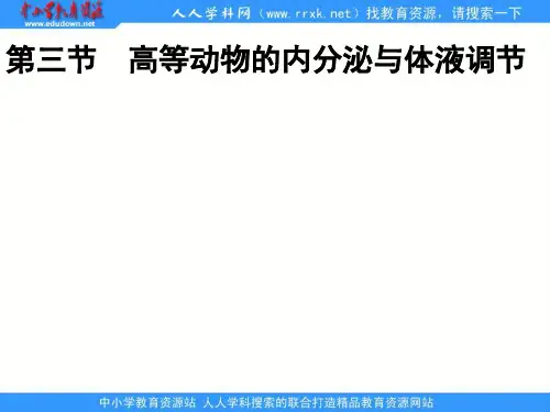 浙科版必修三2.3《高等动物的内分泌系统与体液调节》ppt课件