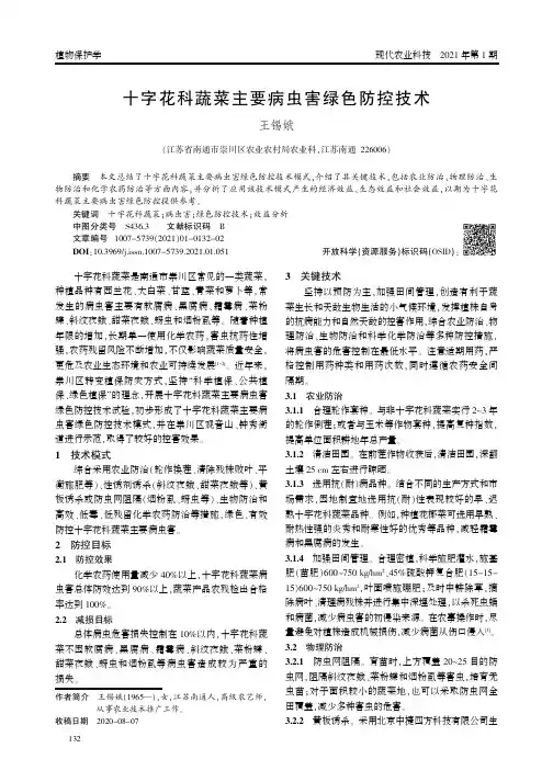 十字花科蔬菜主要病虫害绿色防控技术