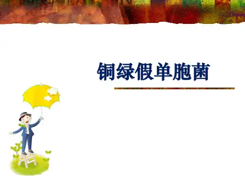 铜绿假单胞菌ppt课件