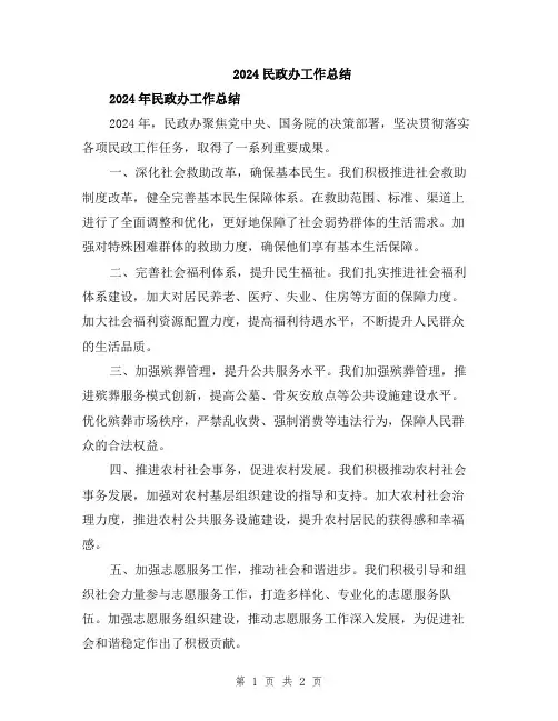 2024民政办工作总结