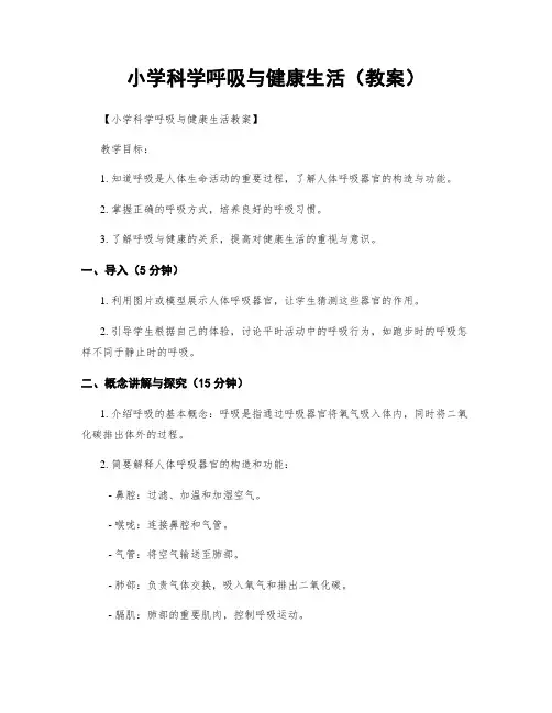 小学科学呼吸与健康生活(教案)