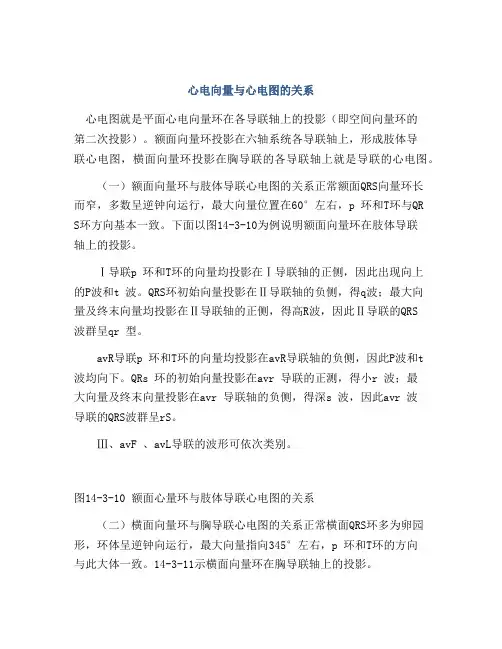 心电向量与心电图的关系