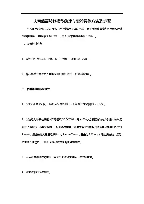 人胃癌高转移模型的建立实验具体步骤及说明