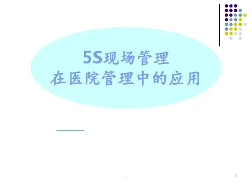 医院5S管理培训 ppt课件
