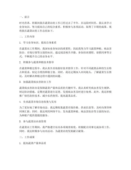蔬菜站个人工作总结范文