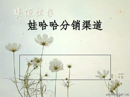 娃哈哈分销渠道