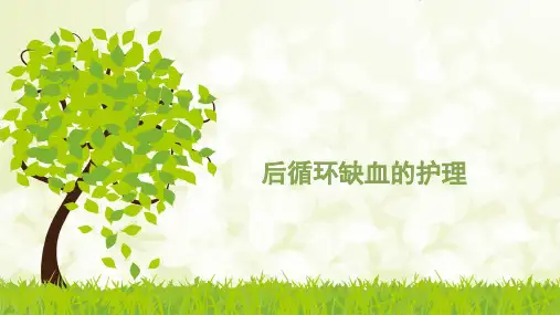 后循环缺血的护理1