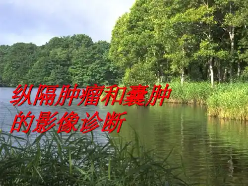 纵隔肿瘤和囊肿的影像诊断