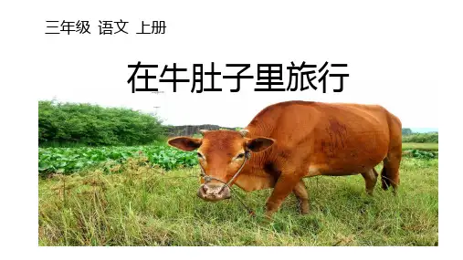10.《在牛肚子里旅行》课件(共55张PPT)