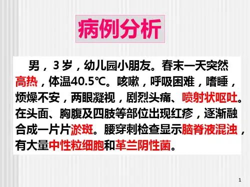 脑膜炎奈瑟菌