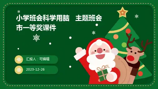 小学班会科学用脑   主题班会 市一等奖课件