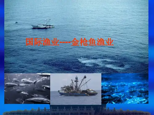 金枪鱼延绳钓
