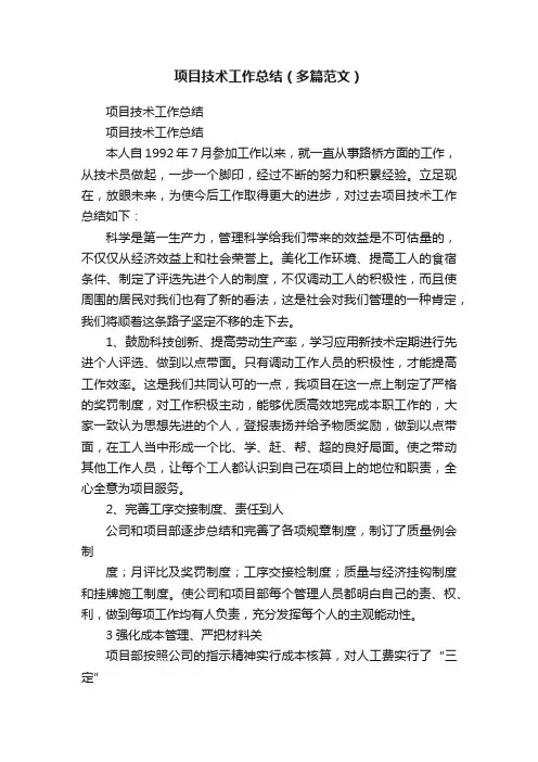 项目技术工作总结（多篇范文）