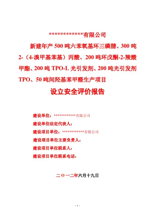设立安全评价报告的范文