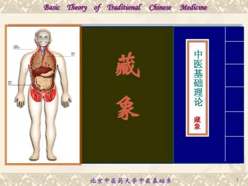 07、藏象学说-六腑、奇恒之腑