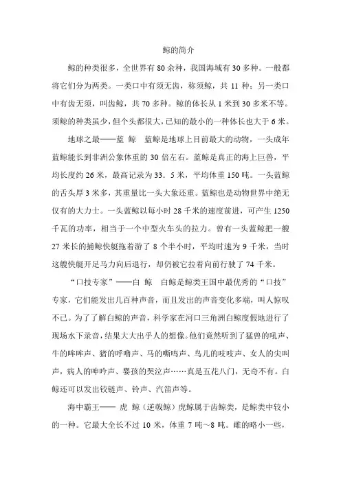 鲸的简介