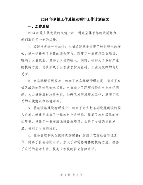 2024年乡镇工作总结及明年工作计划范文
