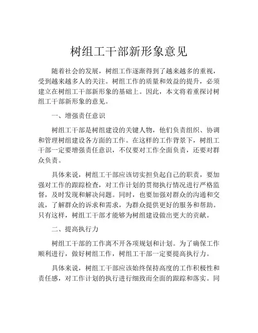 树组工干部新形象意见