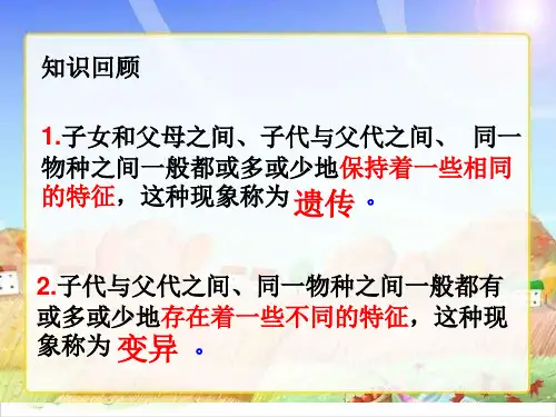 六年级下册科学-寻找遗传与变异的秘密-苏教版(共17张)-PPT课堂课件