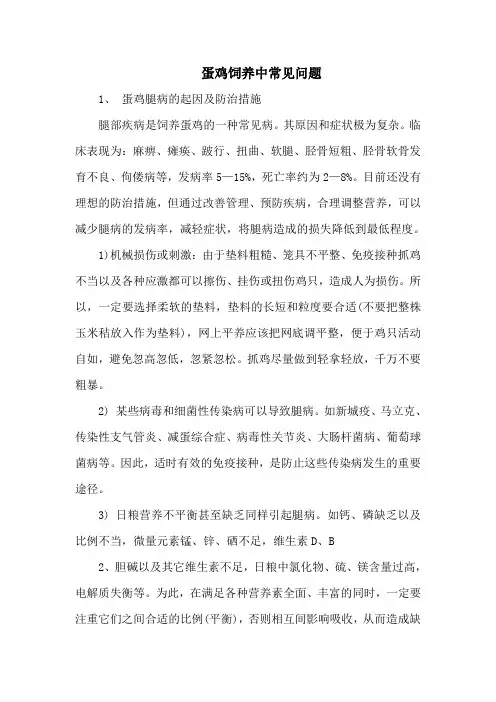 蛋鸡饲养中常见问题