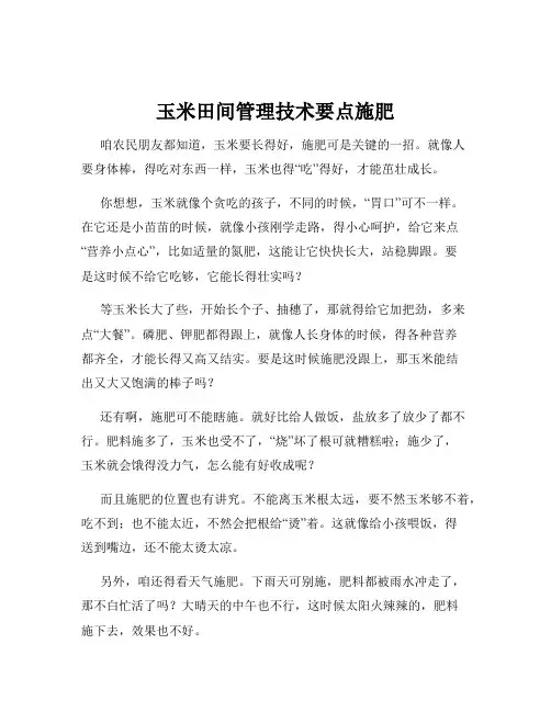玉米田间管理技术要点施肥