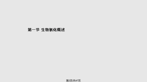 第八章生物氧化