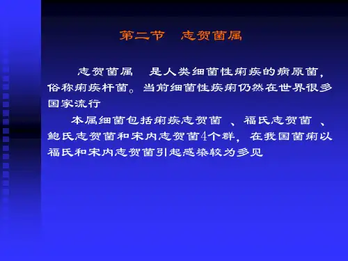 志贺菌