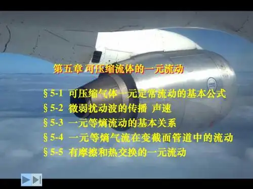 流体力学第五章