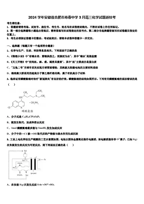2024学年安徽省合肥市寿春中学3月高三化学试题返校考含解析