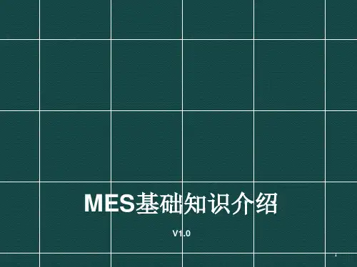 MES基础知识介绍ppt课件