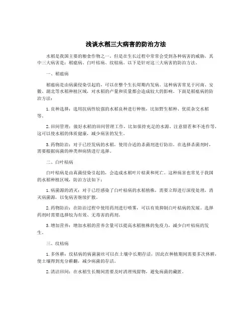 浅谈水稻三大病害的防治方法