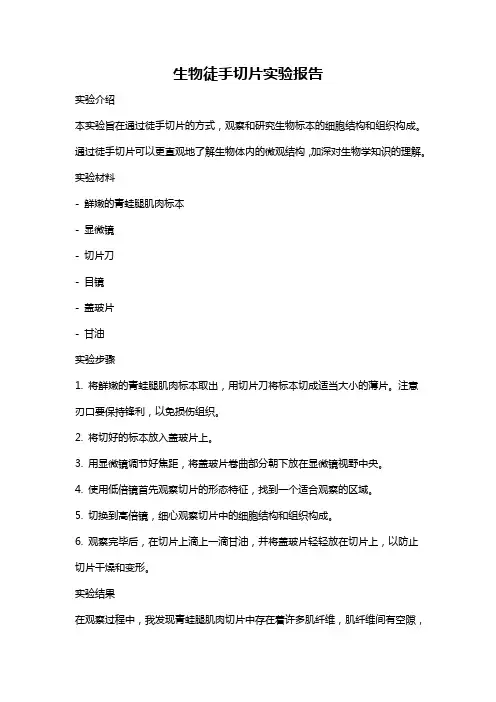 生物徒手切片实验报告