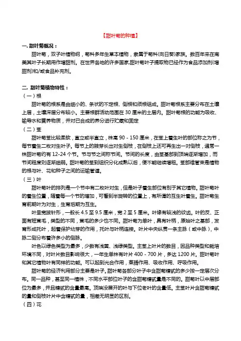 甜叶菊的种植