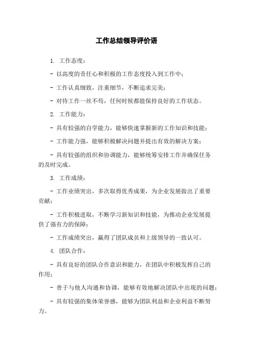 工作总结领导评价语