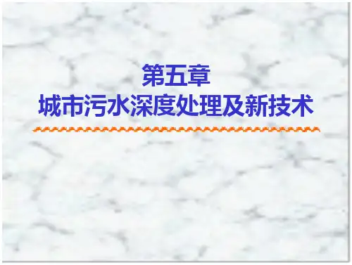 水处理新技术-污水处理新技术