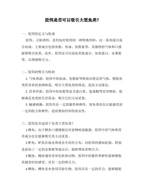 胶饵是否可以吸引大型鱼类？