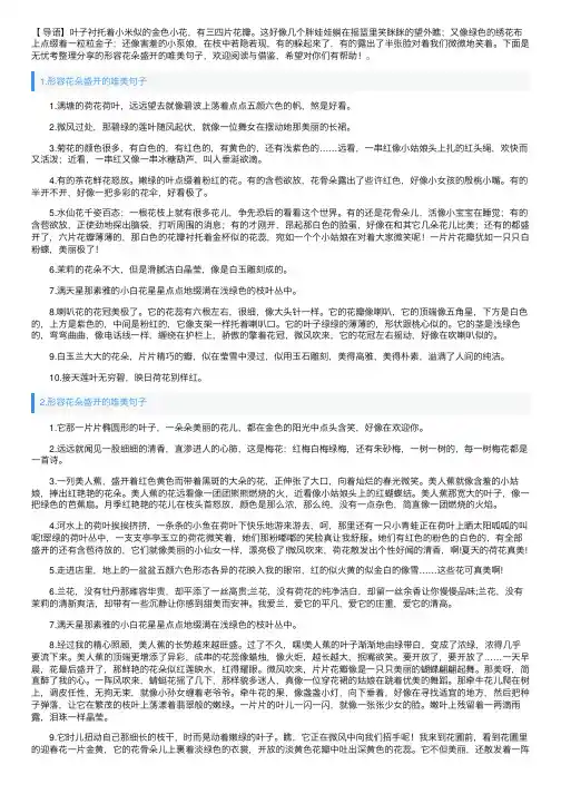 形容花朵盛开的唯美句子（5篇）