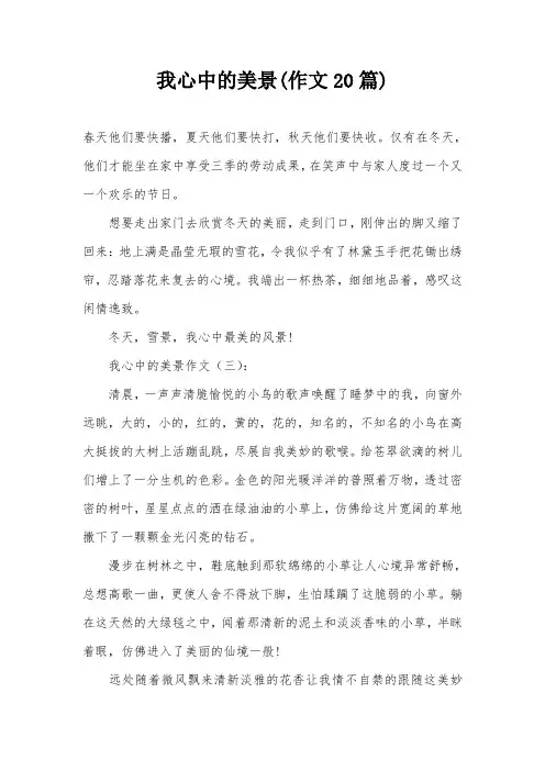 我心中的美景(作文20篇)