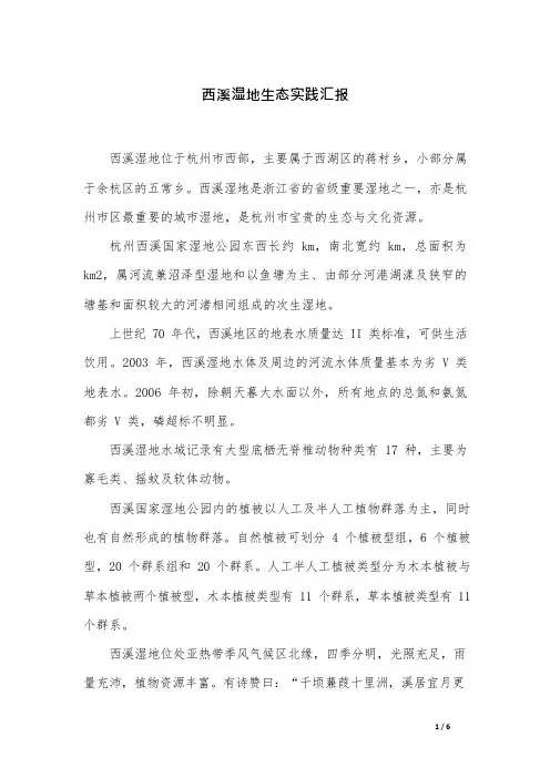 西溪湿地生态实践汇报