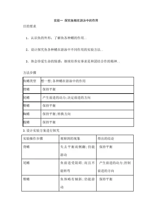 八年级生物实验报告册上