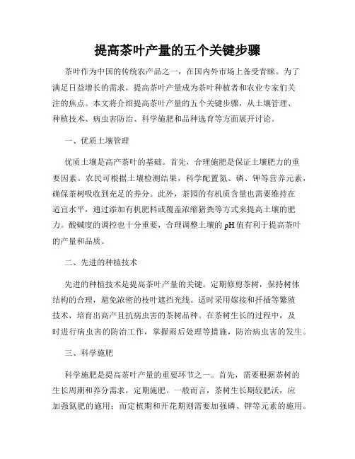 提高茶叶产量的五个关键步骤