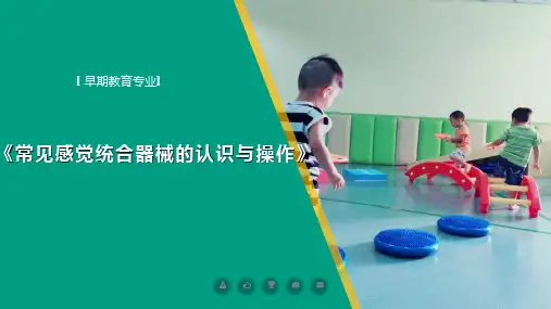 感觉统合训练说课稿 -
