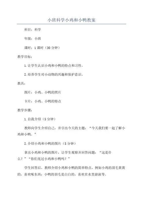 小班科学小鸡和小鸭教案