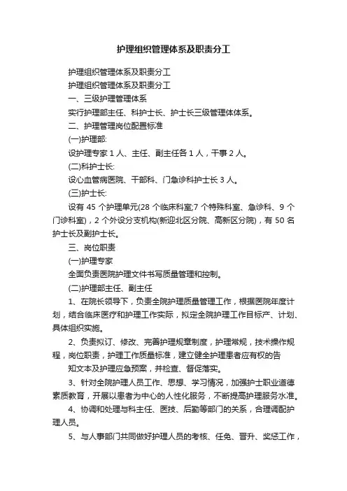 护理组织管理体系及职责分工