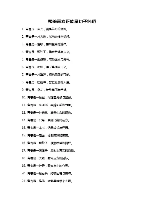 赞美青春正能量句子简短