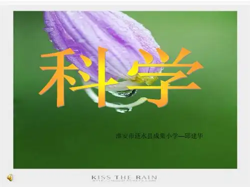 小学科学三年级上册《水和食用油的比较》课件