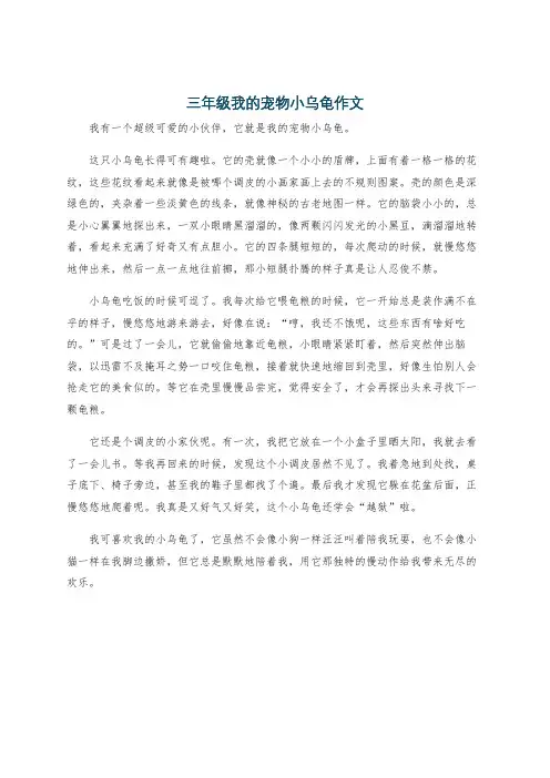 三年级我的宠物小乌龟作文