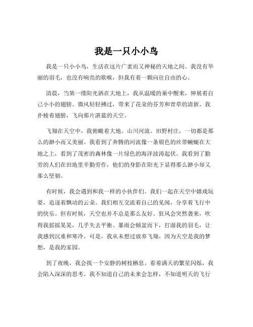 我是一只小小鸟