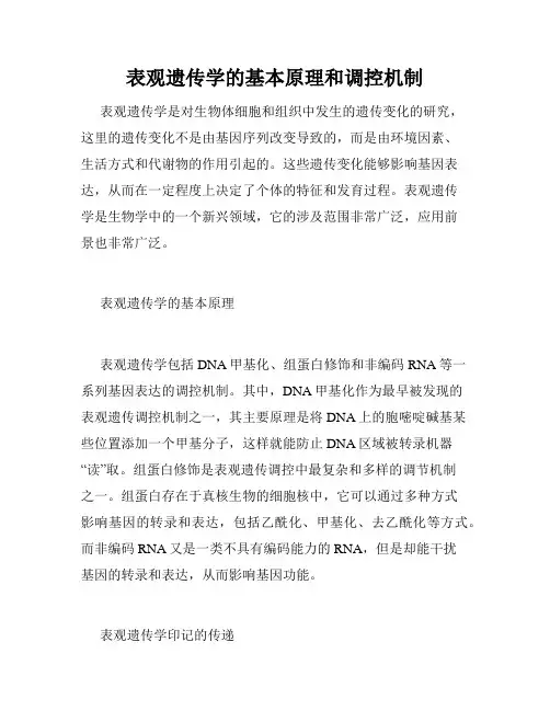 表观遗传学的基本原理和调控机制