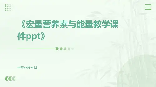 宏量营养素与能量教学课件ppt
